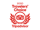 TC_2020_L_TRANSPARENT_RED_WIDE.png